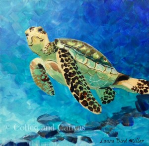 sea turtle copyright